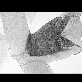 Profil de Thess